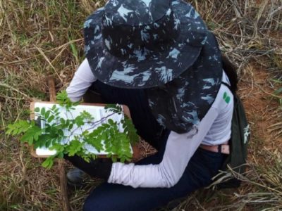 INOVESA_galeria_Consultoria_02