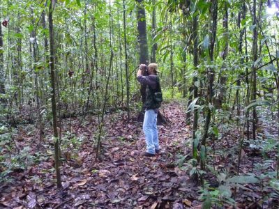 INOVESA_galeria_Consultoria_03