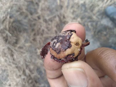 INOVESA_galeria_Consultoria_04