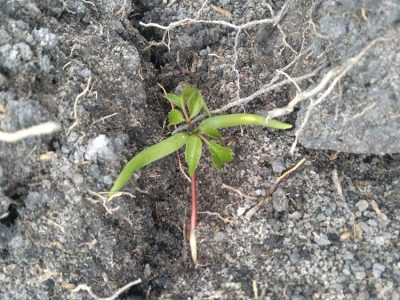 INOVESA_galeria_Consultoria_06