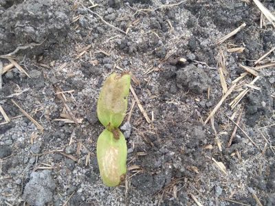 INOVESA_galeria_Consultoria_07