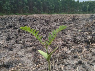 INOVESA_galeria_Consultoria_08