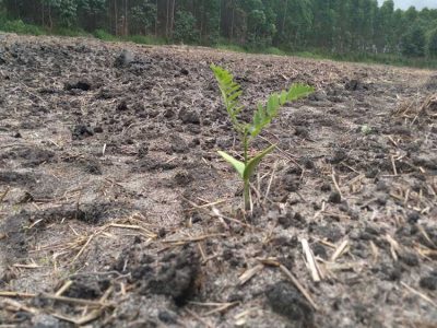 INOVESA_galeria_Consultoria_09