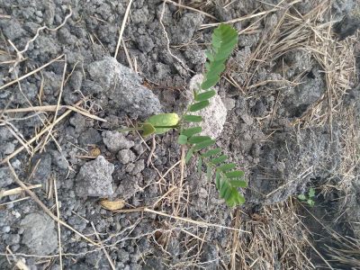 INOVESA_galeria_Consultoria_10