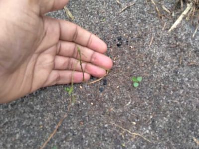 INOVESA_galeria_Consultoria_11