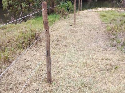 INOVESA_galeria_Preservacao_05