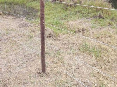 INOVESA_galeria_Preservacao_06