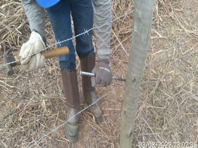 INOVESA_galeria_Preservacao_07