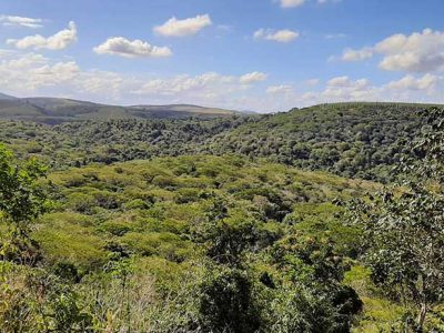 INOVESA_galeria_Preservacao_09