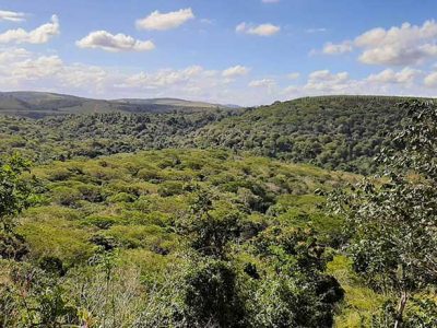 INOVESA_galeria_Preservacao_10