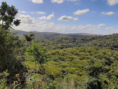 INOVESA_galeria_Preservacao_11