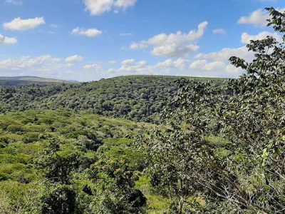 INOVESA_galeria_Preservacao_12