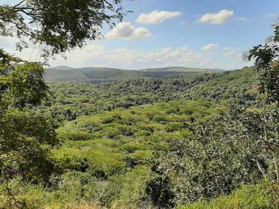 INOVESA_galeria_Preservacao_13