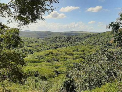 INOVESA_galeria_Preservacao_14