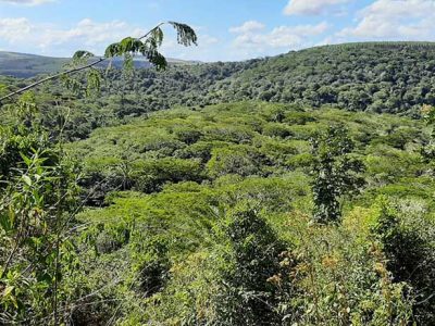 INOVESA_galeria_Preservacao_16