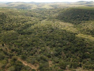 INOVESA_galeria_Preservacao_17