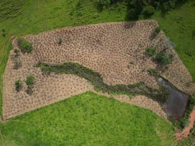 INOVESA_galeria_Preservacao_20