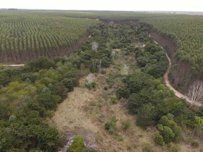 INOVESA_galeria_RestauracaoAmbiental_09