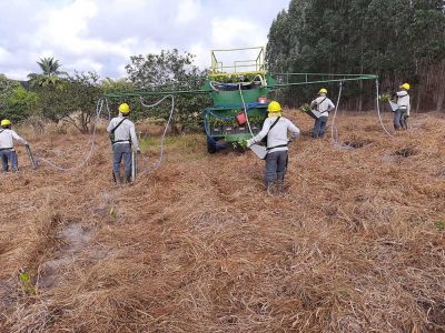 INOVESA_galeria_RestauracaoAmbiental_10