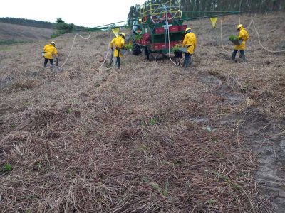 INOVESA_galeria_RestauracaoAmbiental_12