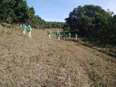 INOVESA_galeria_RestauracaoAmbiental_17