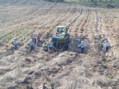 INOVESA_galeria_RestauracaoAmbiental_21