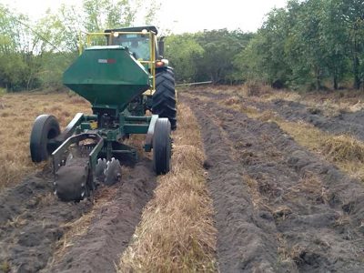 INOVESA_galeria_RestauracaoAmbiental_23