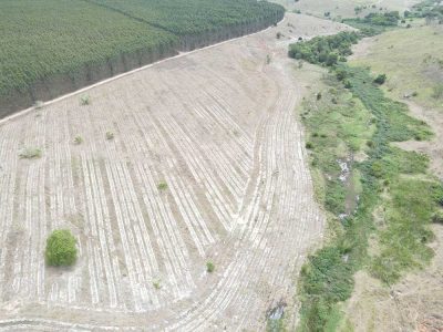 INOVESA_galeria_RestauracaoAmbiental_24