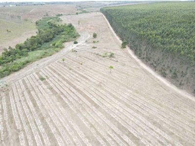 INOVESA_galeria_RestauracaoAmbiental_25