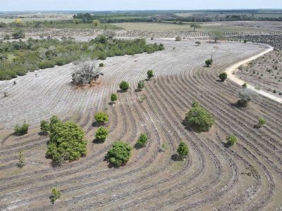 INOVESA_galeria_RestauracaoAmbiental_26