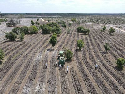 INOVESA_galeria_RestauracaoAmbiental_27