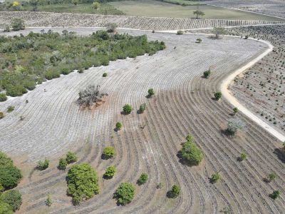 INOVESA_galeria_RestauracaoAmbiental_28