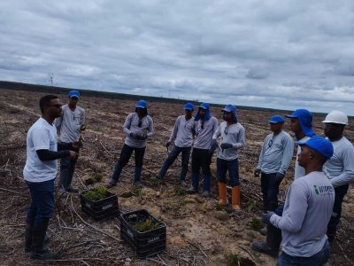 INOVESA_galeria_Silvicultura_22