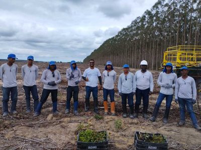 INOVESA_galeria_Silvicultura_23