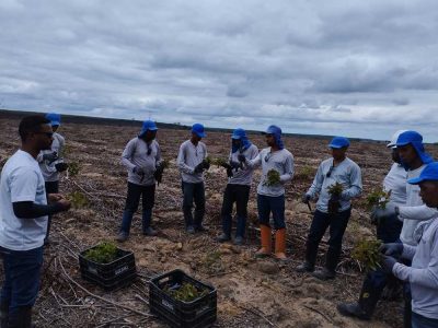 INOVESA_galeria_Silvicultura_24