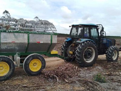 INOVESA_galeria_Silvicultura_26