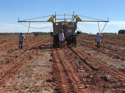 INOVESA_galeria_Silvicultura_29