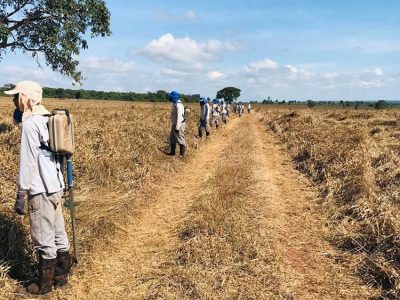 INOVESA_galeria_Silvicultura_30