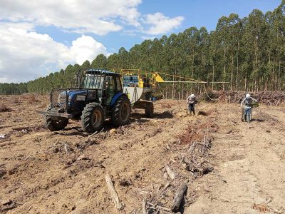 INOVESA_galeria_Silvicultura_31