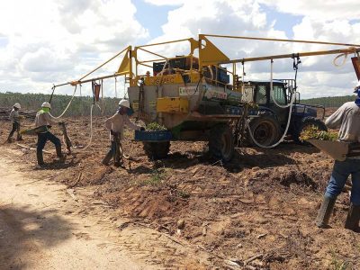 INOVESA_galeria_Silvicultura_32